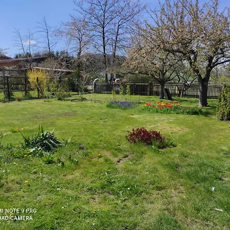 Semesterbostad Heider Ii Ilsenburg