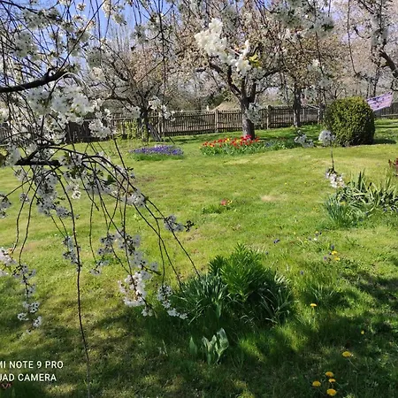 Heider Ii 度假居 伊尔森堡