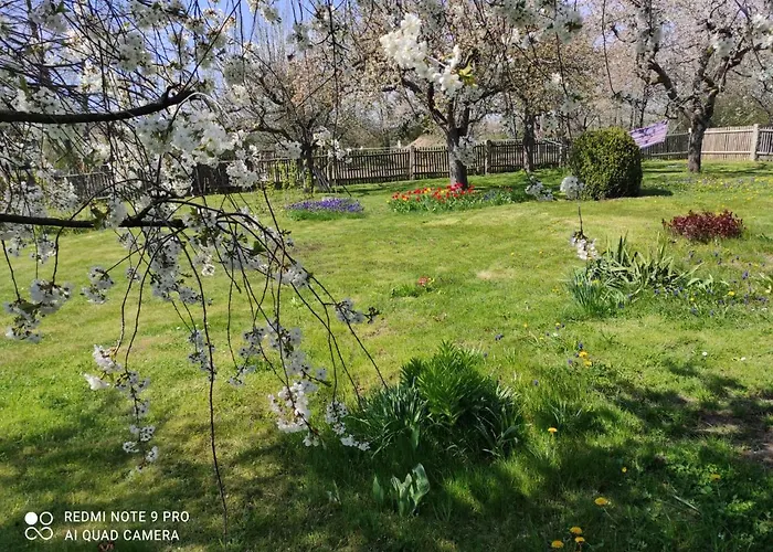 Heider Ii Semesterbostad Ilsenburg